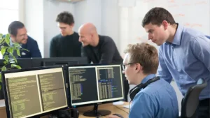 portofolio developer